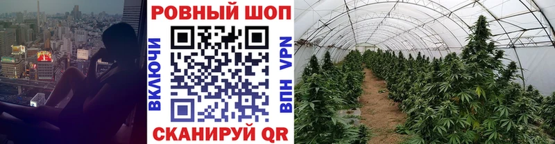 Как найти закладки Оса Альфа ПВП  omg зеркало  КОКАИН  ГАШИШ 