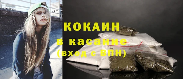 шишки Аркадак