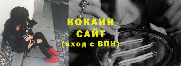 шишки Аркадак