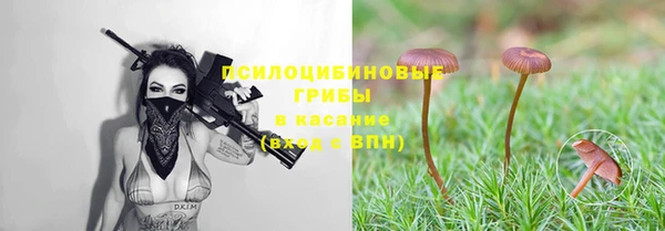 Альфа ПВП Алзамай