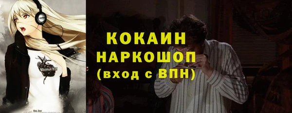 шишки Аркадак