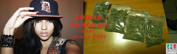 шишки Аркадак