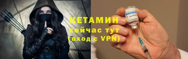 гидра Арсеньев
