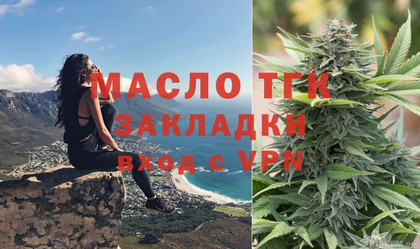 гидра Арсеньев